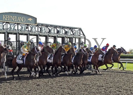 Joha - 100612 Race 08 Start Keeneland