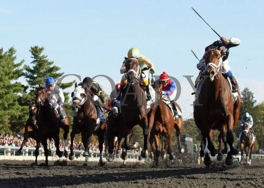 Joha - 100612 Race 08 Under Rail Keeneland
