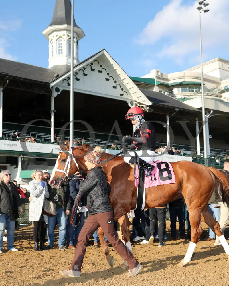Johny’s Fireball - 11-29-24 R06 Cd Come Back 01 Churchill Downs