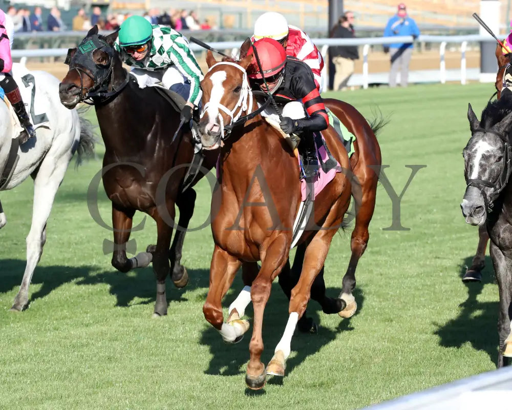 Johny’s Fireball - 11-29-24 R06 Cd Inside Finish 02 Churchill Downs