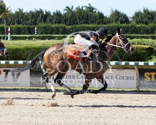 Joint Return - 041214 Race 07 Crc Finish Calder Course