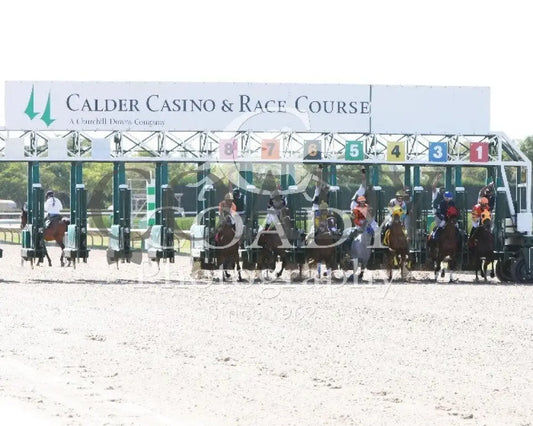 Joint Return - 041214 Race 07 Crc Start Calder Course