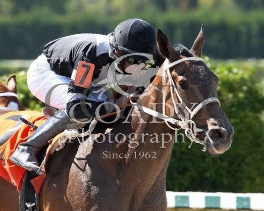 Joint Return - 041214 Race 07 Crc Tight Fin Calder Course