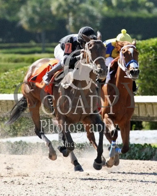 Joint Return - 041214 Race 07 Crc Up Track Calder Course