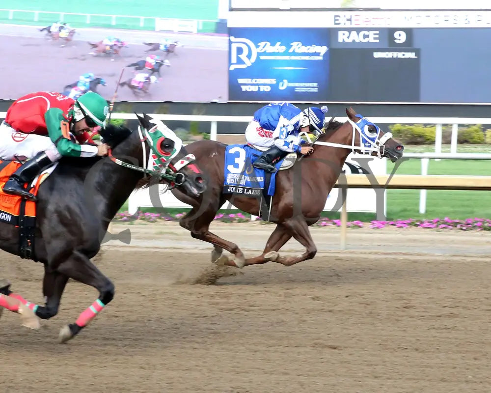 JOLIE LAIDE - Horseshoe Indianapolis QHRAI Derby Final - 06-19-25 - R09 - Horseshoe Indiana - Finish 01 - Sammantha