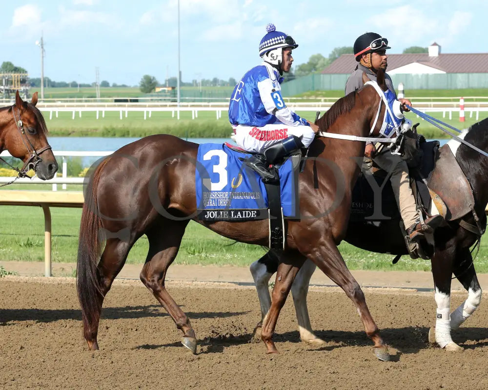 JOLIE LAIDE - Horseshoe Indianapolis QHRAI Derby Final - 06-19-25 - R09 - Horseshoe Indiana - Post Parade 01