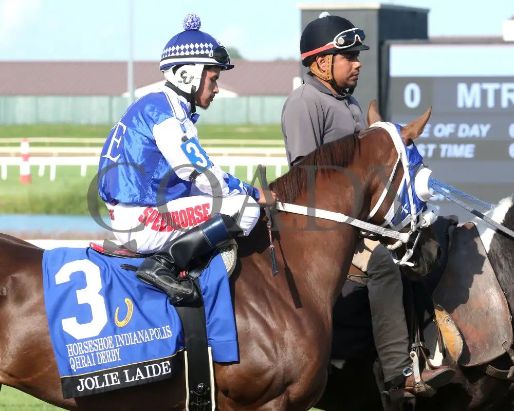 JOLIE LAIDE - Horseshoe Indianapolis QHRAI Derby Final - 06-19-25 - R09 - Horseshoe Indiana - Post Parade 02