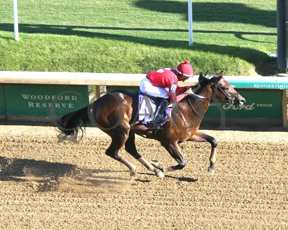Jonathan’s Way - The Iroquois G3 43Rd Running 09-14-24 R10 Cd Aerial Finish 01 Churchill Downs