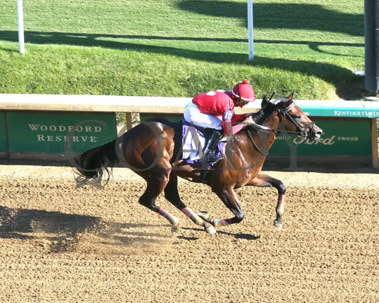 Jonathan’s Way - The Iroquois G3 43Rd Running 09-14-24 R10 Cd Aerial Finish 01 Churchill Downs