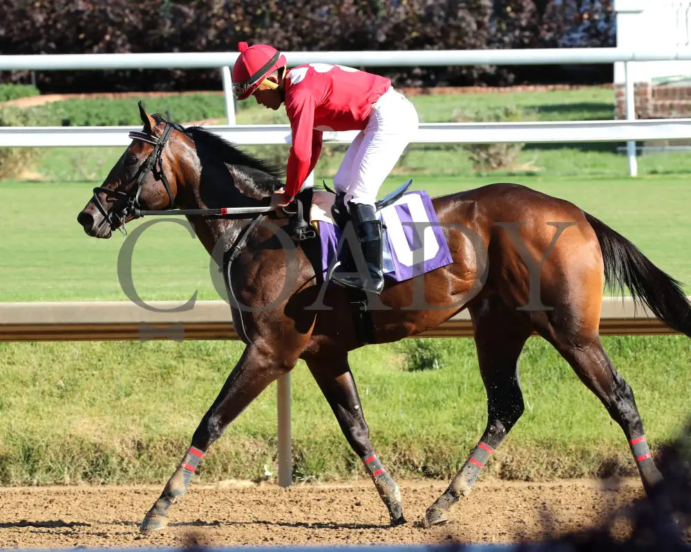 Jonathan’s Way - The Iroquois G3 43Rd Running 09-14-24 R10 Cd Come Back 01 Churchill Downs