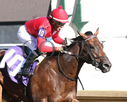 Jonathan’s Way - The Iroquois G3 43Rd Running 09-14-24 R10 Cd Finish 03 Churchill Downs