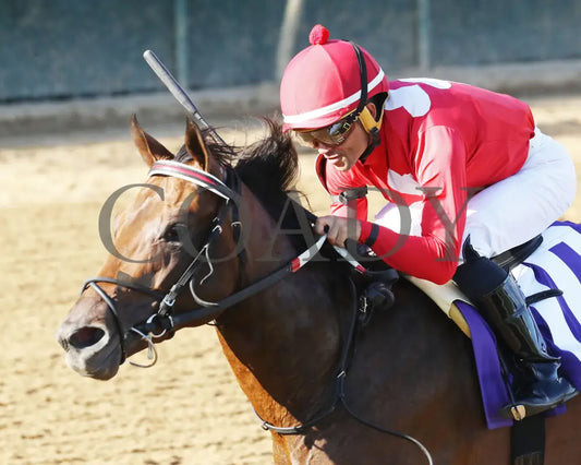Jonathan’s Way - The Iroquois G3 43Rd Running 09-14-24 R10 Cd Inside Finish 01 Churchill Downs