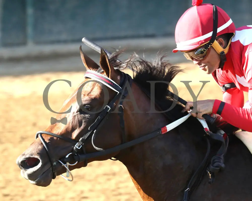 Jonathan’s Way - The Iroquois G3 43Rd Running 09-14-24 R10 Cd Inside Finish 02 Churchill Downs