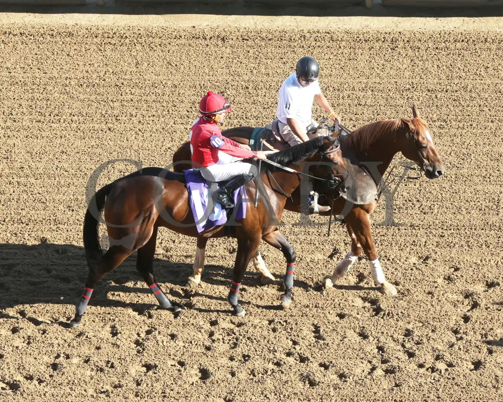 Jonathan’s Way - The Iroquois G3 43Rd Running 09-14-24 R10 Cd Post Parade 01 Churchill Downs