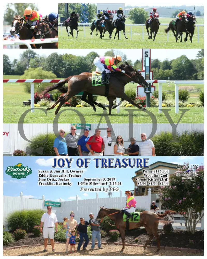 Joy Of Treasure - 09-05-19 R04 Kd Kentucky Downs