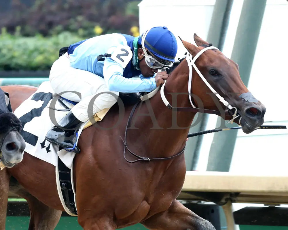 Joy’s Rocket - 06-28-20 R02 Cd Finish 03 Churchill Downs