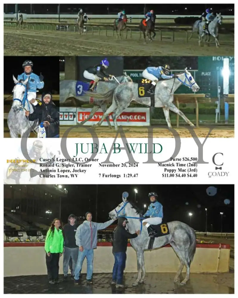Juba B Wild - 11-20-24 R03 Ct Hollywood Casino At Charles Town Races