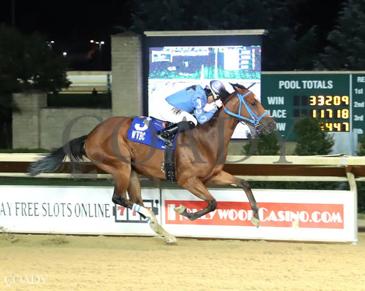 JUBASLILBALLERINA - 101125 - Race 05 - CT West Virginia Roger Ramey Breeders Classic Distaff - Finish 01 Hollywood