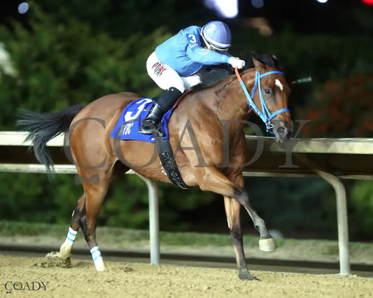 JUBASLILBALLERINA - 101125 - Race 05 - CT West Virginia Roger Ramey Breeders Classic Distaff - Finish 02 Hollywood