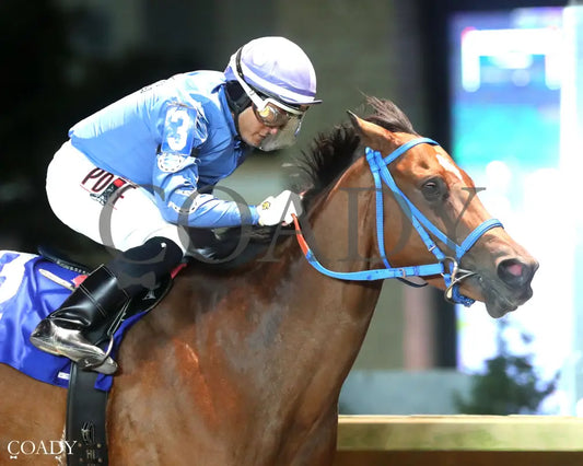 JUBASLILBALLERINA - 101125 - Race 05 - CT West Virginia Roger Ramey Breeders Classic Distaff - Finish 03 Hollywood