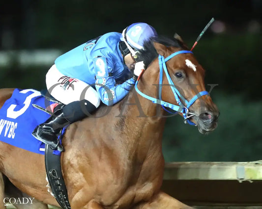 JUBASLILBALLERINA - 101125 - Race 05 - CT West Virginia Roger Ramey Breeders Classic Distaff - Finish 04 Hollywood