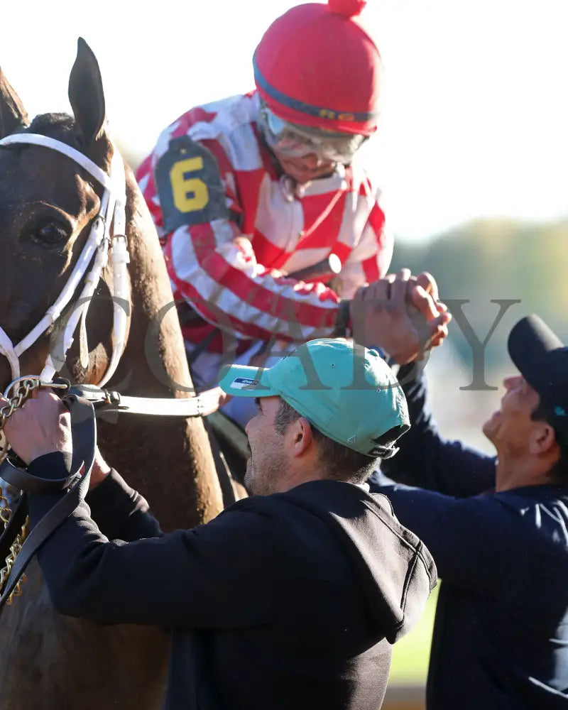 Jubilant Joanie - 111624 Race 07 Cd Come Back 02 Churchill Downs