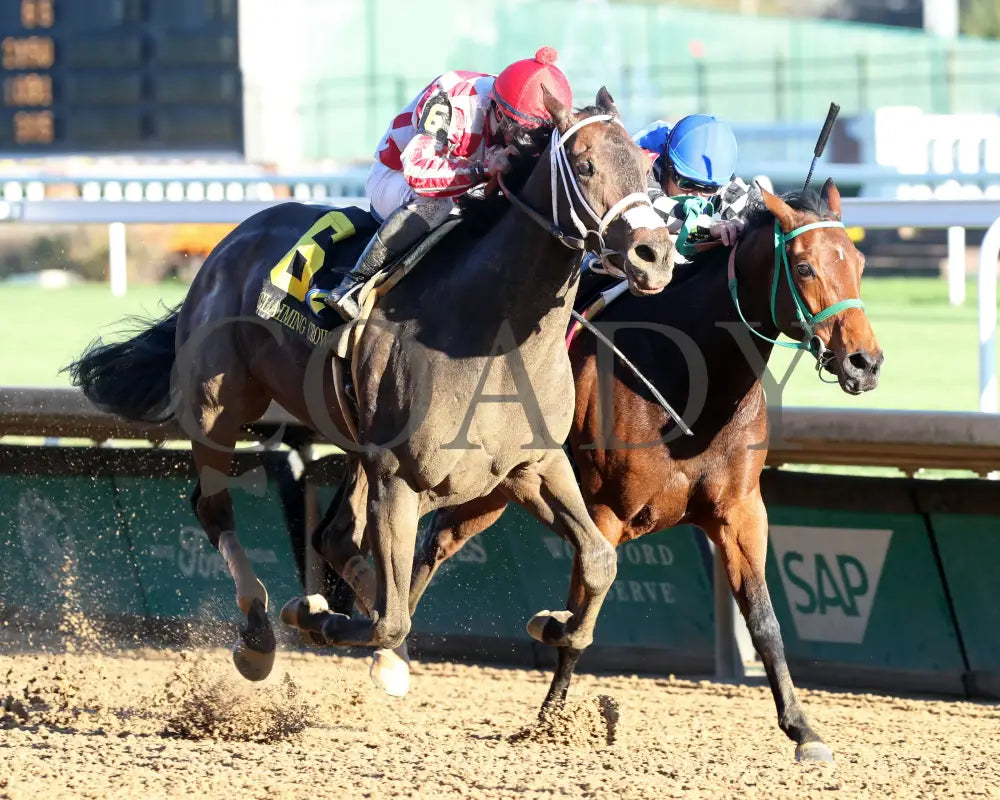 Jubilant Joanie - 111624 Race 07 Cd Finish 02 Churchill Downs