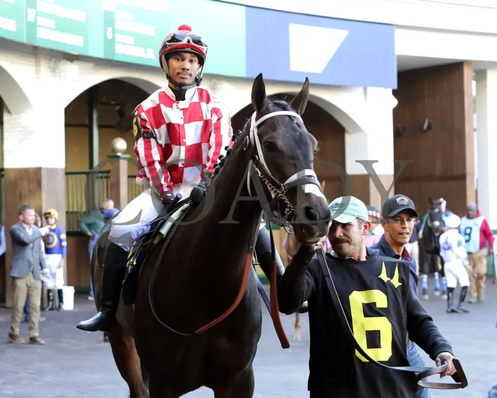 Jubilant Joanie - 111624 Race 07 Cd Paddock 01 Churchill Downs