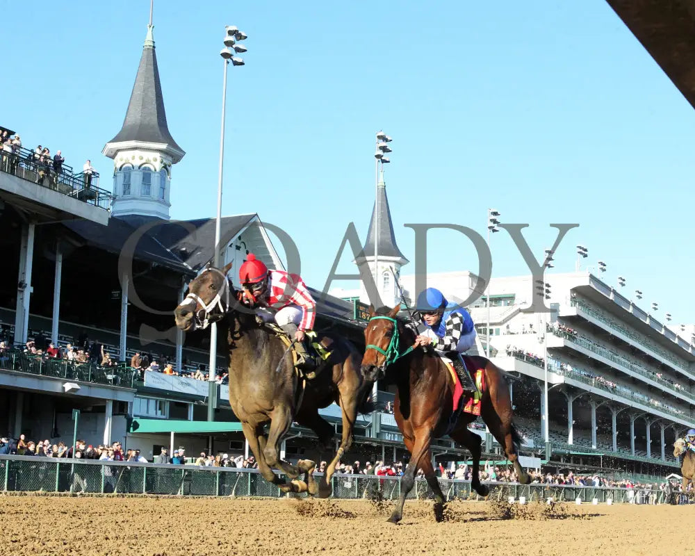 Jubilant Joanie - 111624 Race 07 Cd Under Rail 01 Churchill Downs