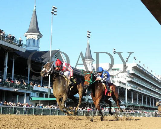 Jubilant Joanie - 111624 Race 07 Cd Under Rail 01 Churchill Downs