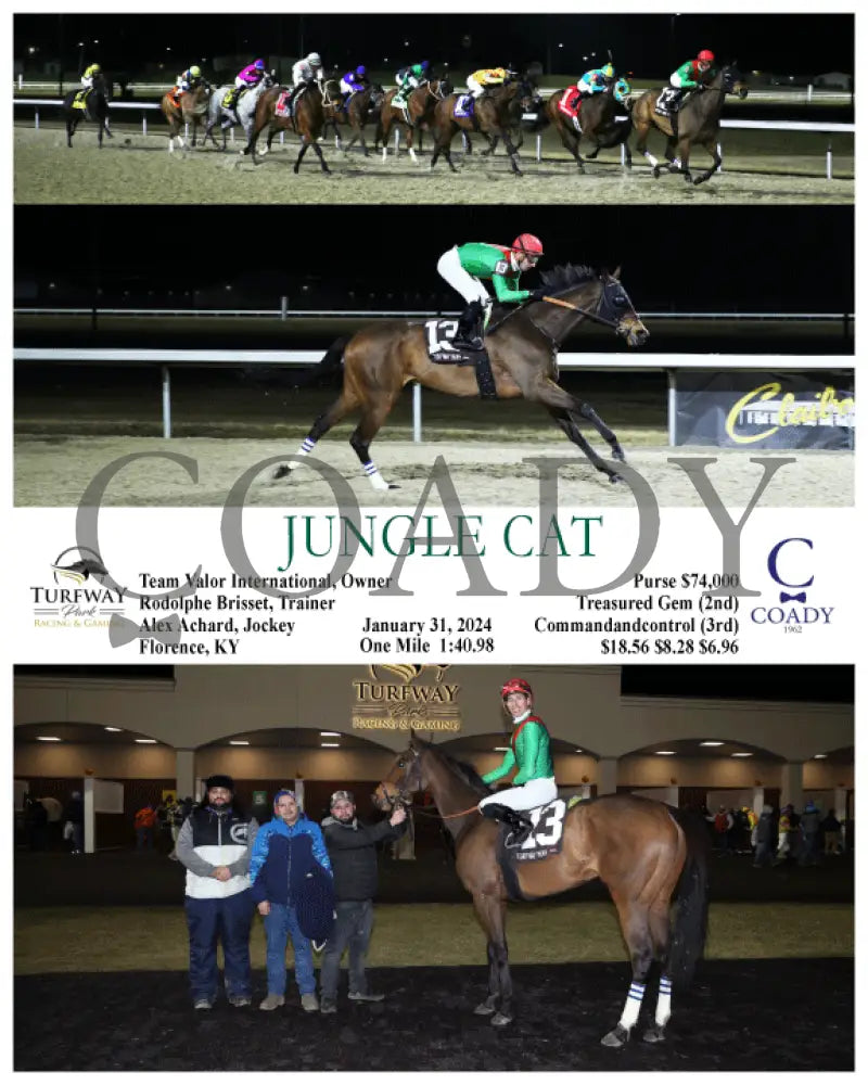 Jungle Cat - 01-31-24 R09 Tp Turfway Park