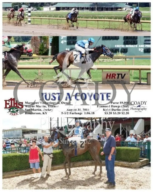 Just A Coyote - 083114 Race 03 Elp Ellis Park