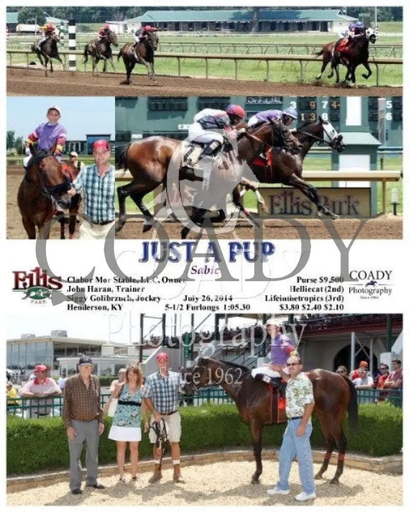 Just A Pup - 072614 Race 03 Elp Ellis Park