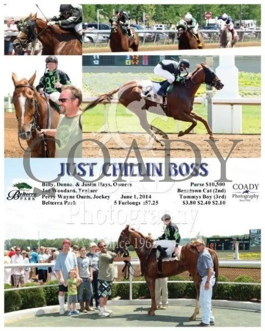 Just Chillin Boss - 060114 Race 03 Btp Belterra Park