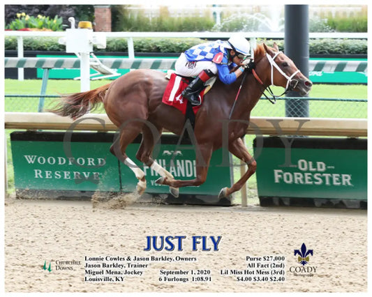 Just Fly - 09-01-20 R01 Cd Action Churchill Downs
