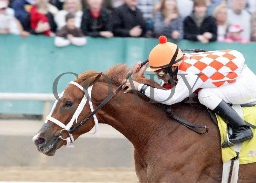 Just Jenda - The Honeybee Stakes Inside Finish Oaklawn Park