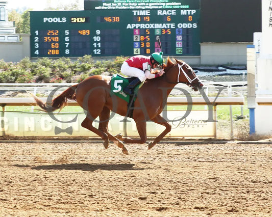 Just Like Rambo - 092024 Race 06 Btp The Loyalty Stakes Finish01 Belterra Park