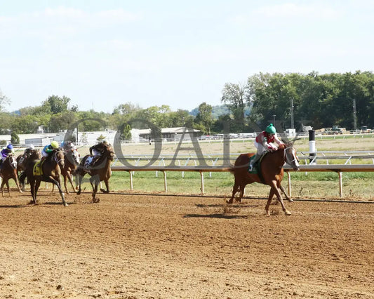 Just Like Rambo - 092024 Race 06 Btp The Loyalty Stakes Up The Track Belterra Park