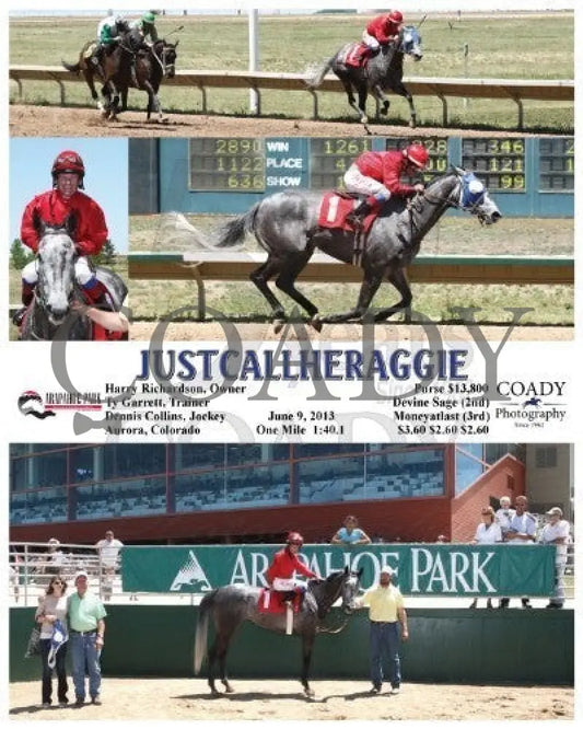 Justcallheraggie - 060913 Race 03 Arp Arapahoe Park