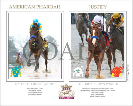 Justify And American Pharoah - Triple Crown Winners 18X24 Print