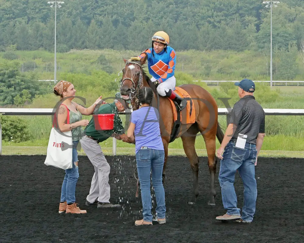 JUSTINQUESO - The Lady Erie Stakes - 08-04-25 - R07 - PID - Bath Presque Isle Downs