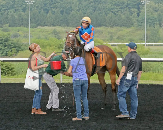 JUSTINQUESO - The Lady Erie Stakes - 08-04-25 - R07 - PID - Bath Presque Isle Downs