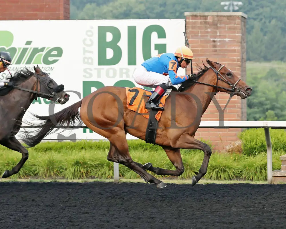 JUSTINQUESO - The Lady Erie Stakes - 08-04-25 - R07 - PID - Finish Presque Isle Downs