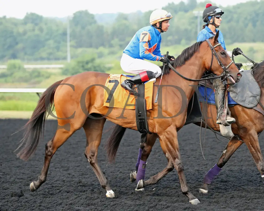 JUSTINQUESO - The Lady Erie Stakes - 08-04-25 - R07 - PID - Post Parade Presque Isle Downs