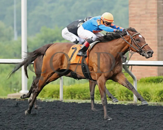 JUSTINQUESO - The Lady Erie Stakes - 08-04-25 - R07 - PID - Tight Finish 01 Presque Isle Downs