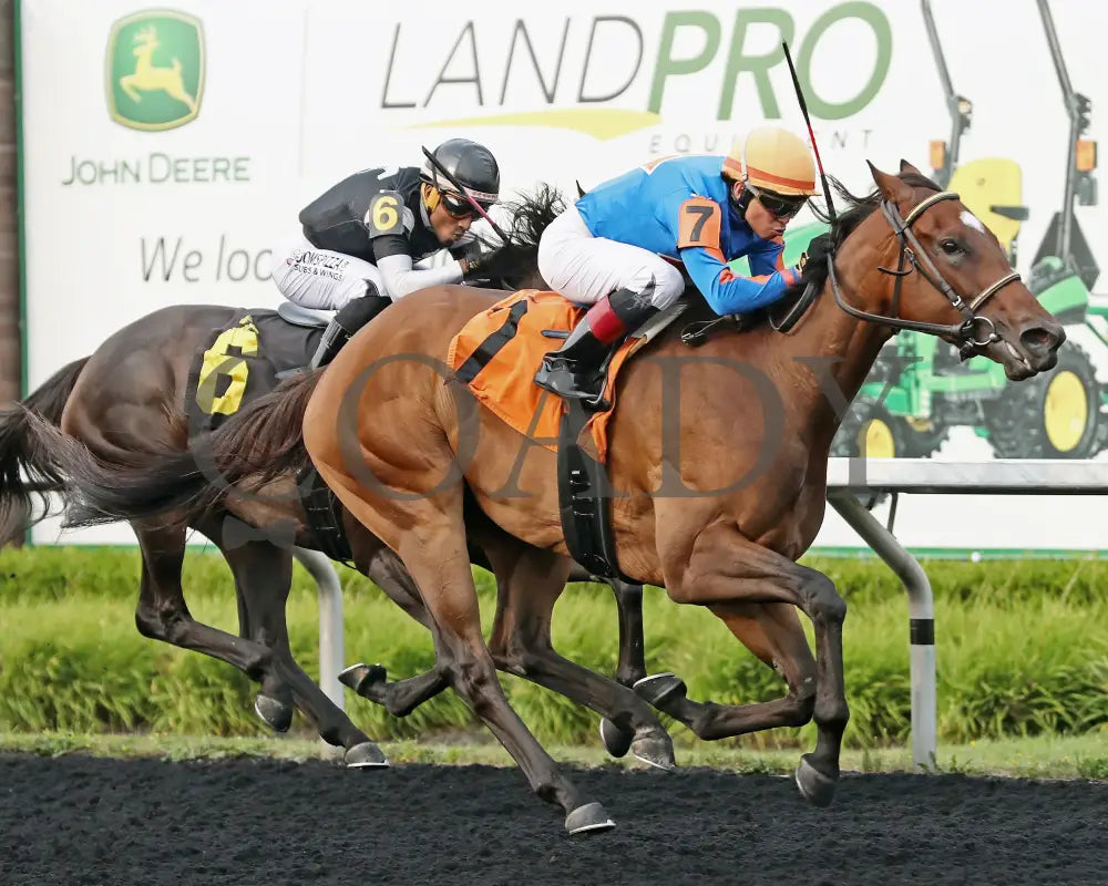 JUSTINQUESO - The Lady Erie Stakes - 08-04-25 - R07 - PID - Tight Finish 02 Presque Isle Downs