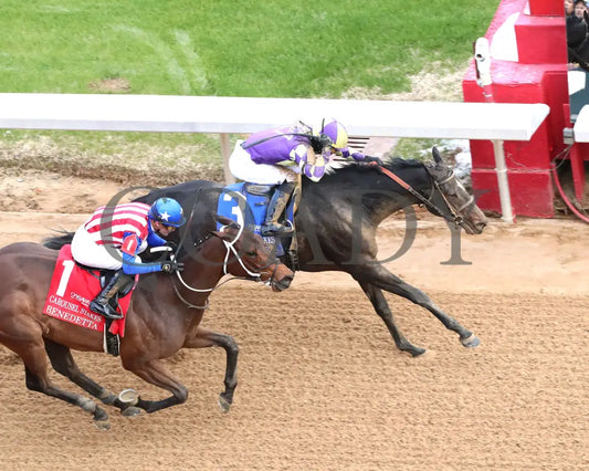 JUSTIQUE - 022325 - Race 04 - OP The Carousel Stakes - Aerial Finish 01 Oaklawn Park