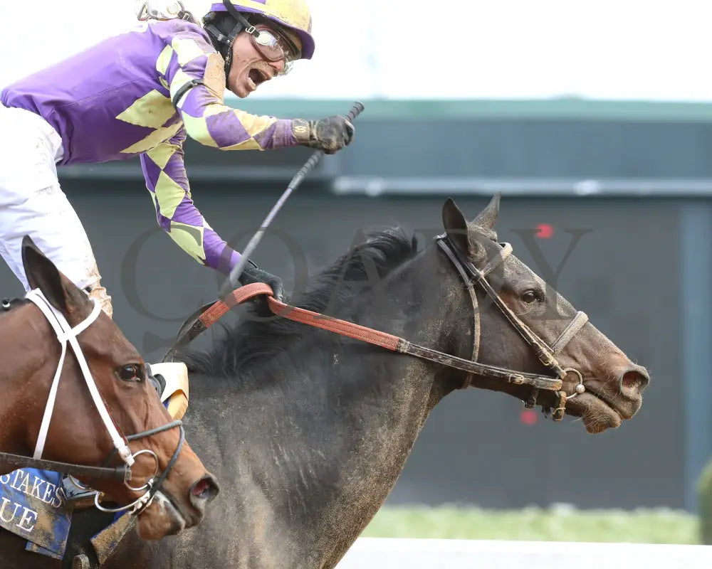 JUSTIQUE - 022325 - Race 04 - OP The Carousel Stakes - Celebration 01 Oaklawn Park