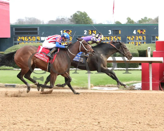 JUSTIQUE - 022325 - Race 04 - OP The Carousel Stakes - Finish 01 Oaklawn Park