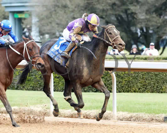 JUSTIQUE - 022325 - Race 04 - OP The Carousel Stakes - Finish 02 Oaklawn Park